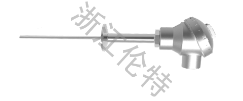 衛(wèi)生型熱電阻溫度計