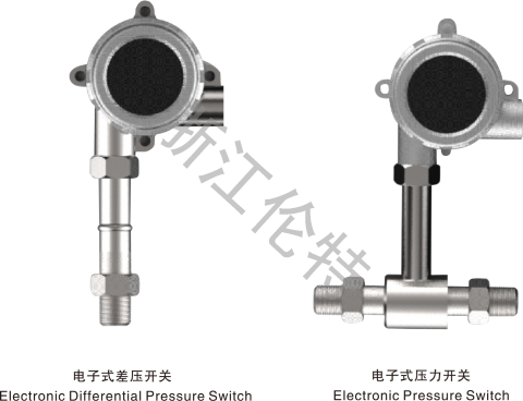 電子式溫度、 壓力（差壓）開(kāi)關(guān)